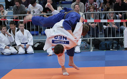 TM2011-p2a