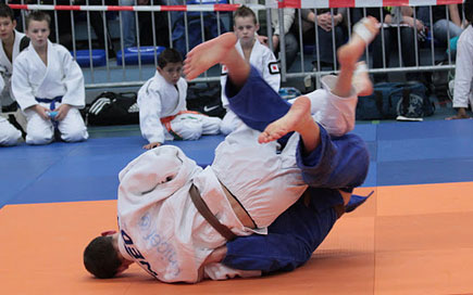 TM2011-p2d